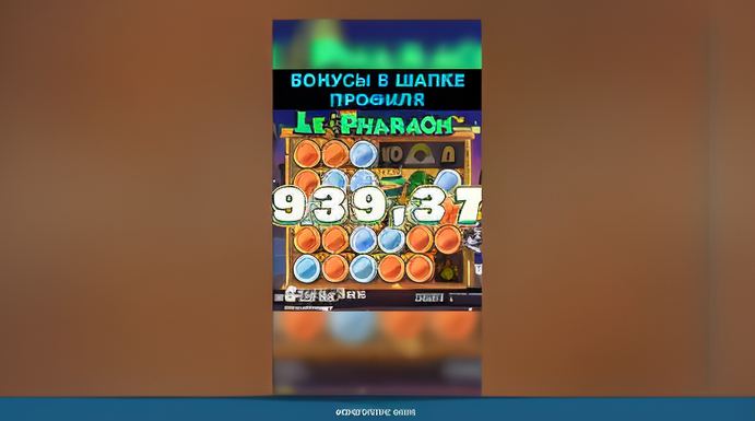 PREMIUM JUICE CONCENTRATE SUPPLIER